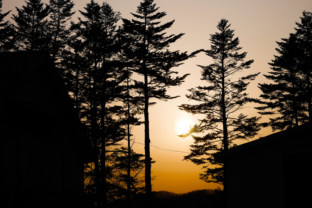 北の春　夕景