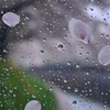 雨風