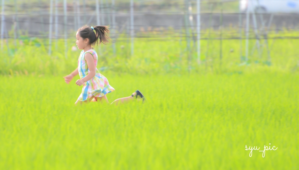 畦道ダッシュ