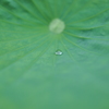 ちょっとだけ雨。