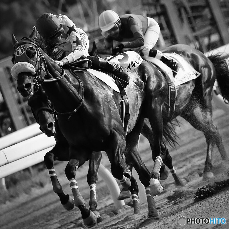 大井競馬場