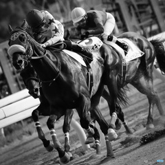 大井競馬場
