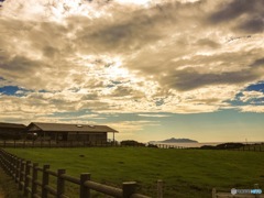 夕暮れ前の小さな牧場