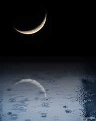 月夜の雨