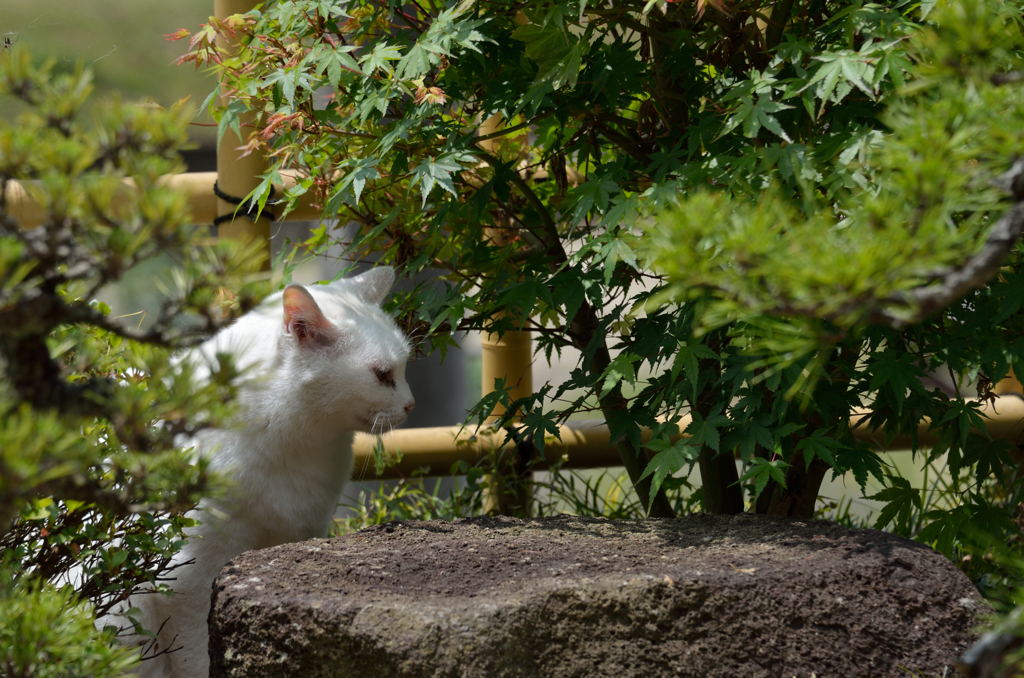 木陰で一休み