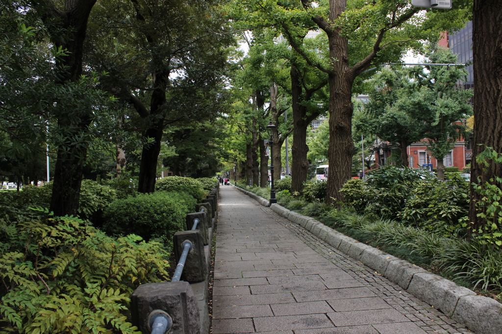 street