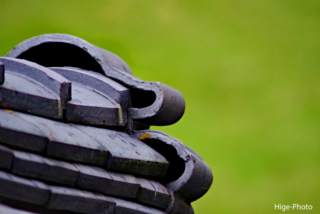 古い、安い、うるさいレンズを引っ張り出して…も少し使ってみよう…