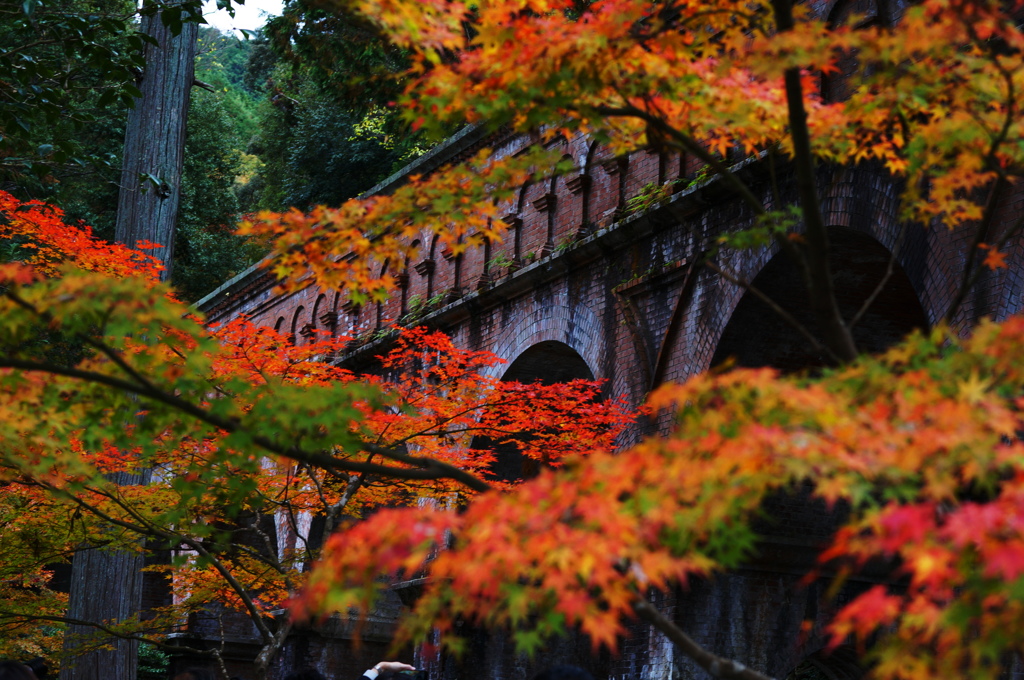 京都さんぽ。南禅寺2