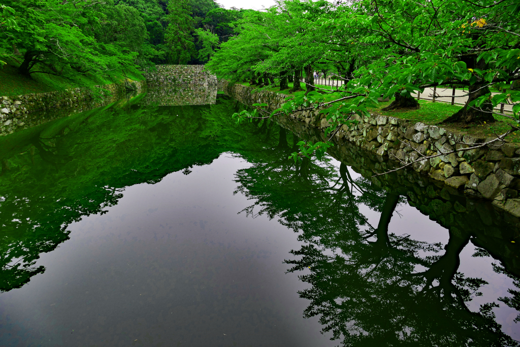 撮りくらべ。LUMIX・彦根城