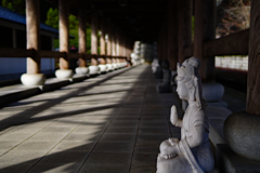 日差し