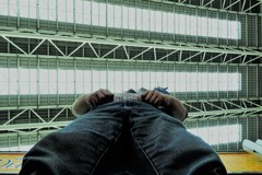 見上げた方が得。