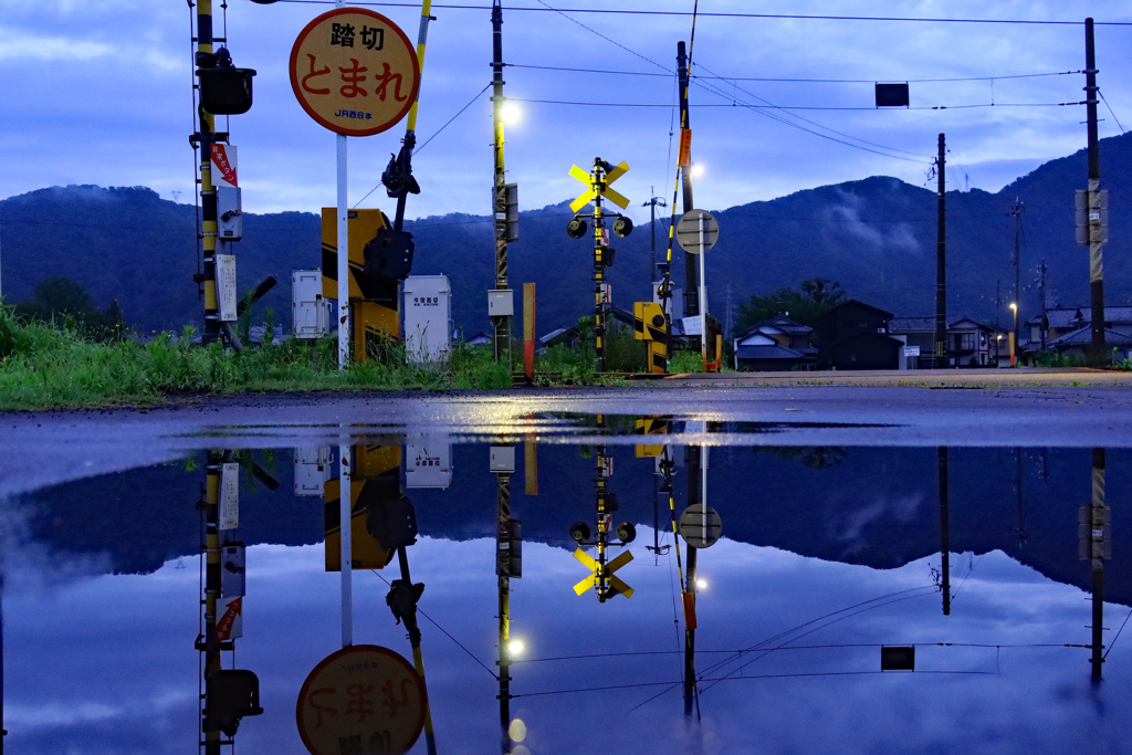 散歩道