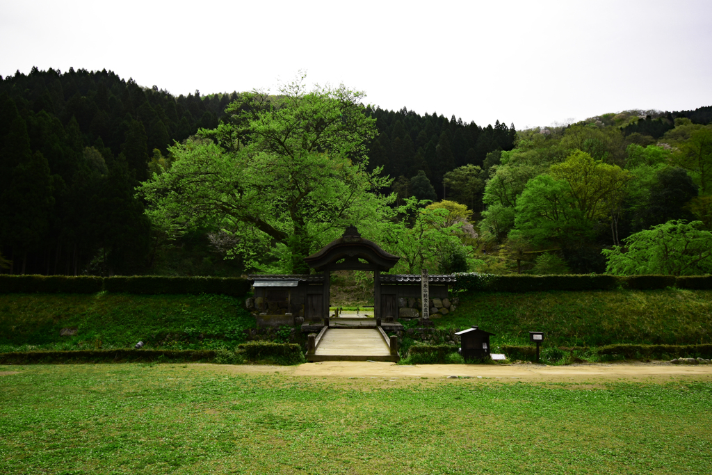朝倉遺跡