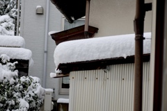 昨夜の積雪量。30センチ位かなぁ