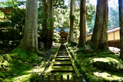 初夏の永平寺