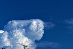 夏雲