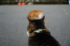 微妙な距離感