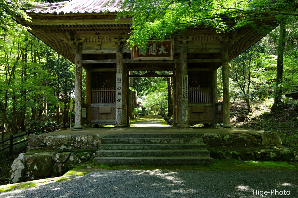 若狭散策3　妙楽寺