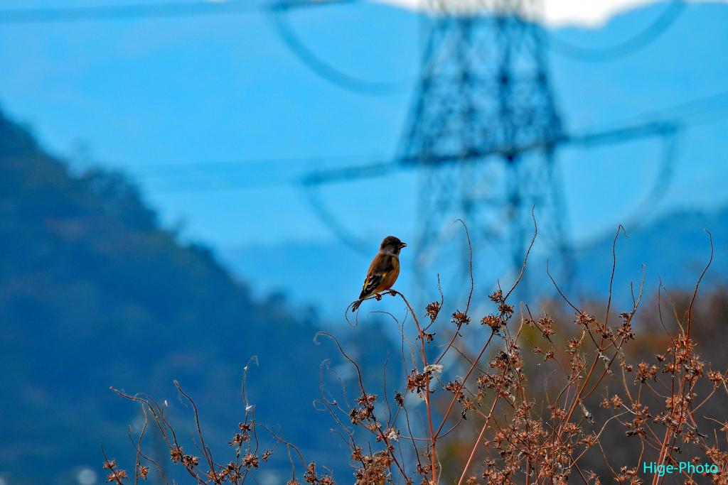 ポカポカ陽気に誘われて