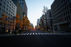 横断歩道