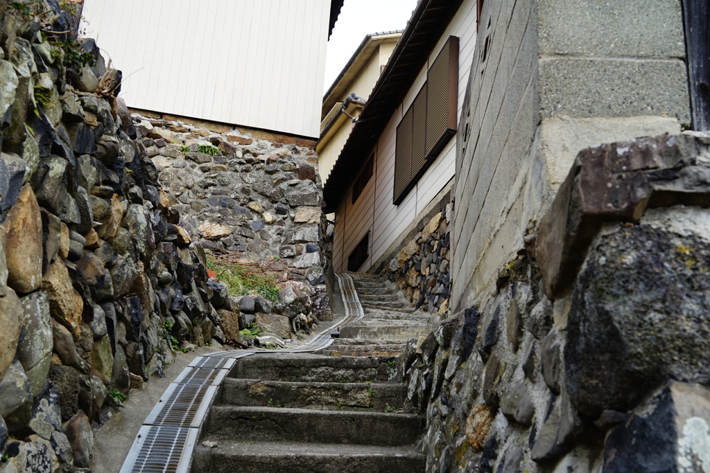 猫島散歩。村の路
