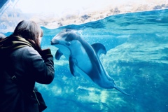イルカと会話する女性