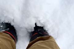 積雪は20センチくらいでしょうか