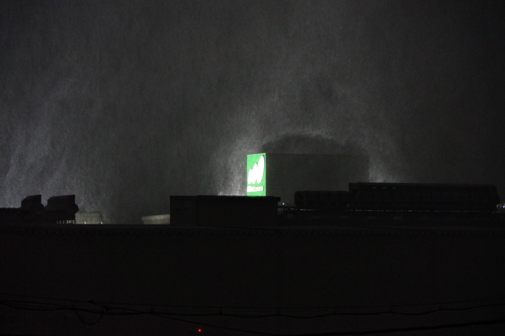 今日は5日ぶりの外出