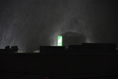 今日は5日ぶりの外出