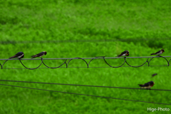 台風9号に耐えてます