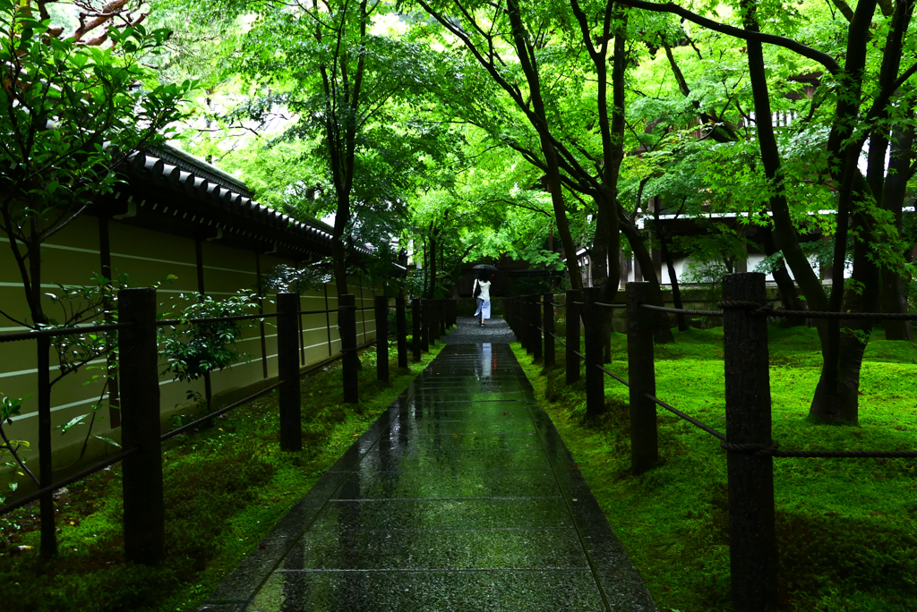 路。禅林寺