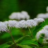 線香花火のように