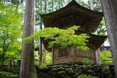 永平寺の緑