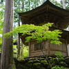 永平寺の緑