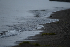 琵琶湖は静かな波