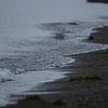 琵琶湖は静かな波
