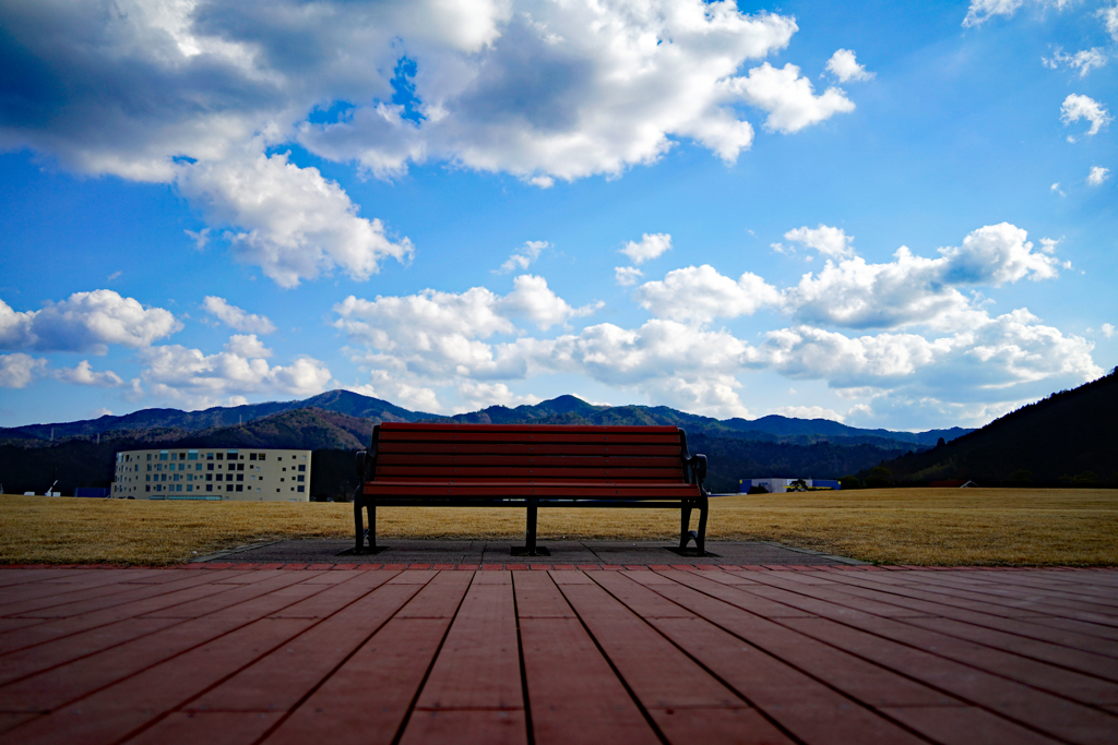 ベンチ