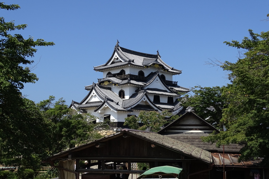 猛暑の彦根城