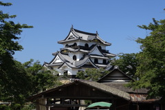 猛暑の彦根城