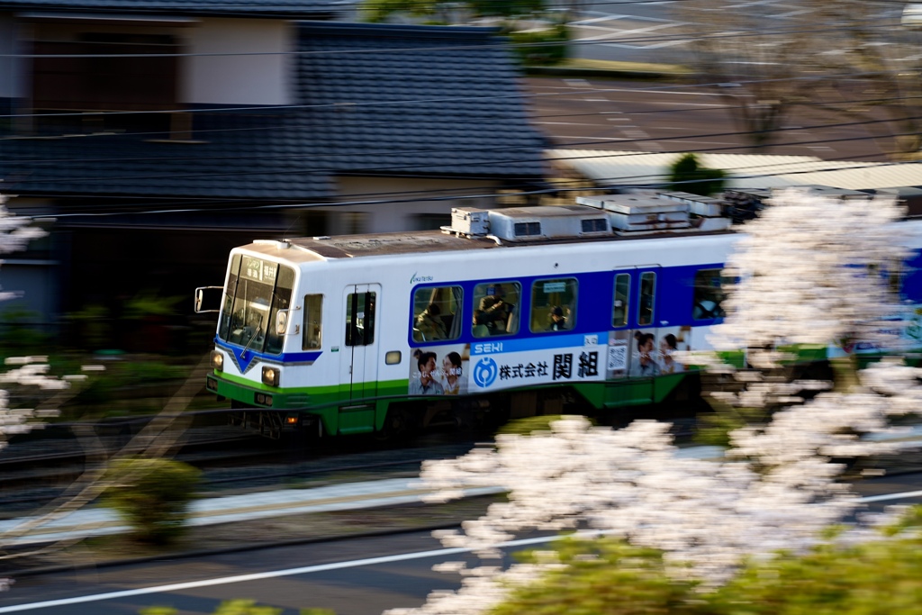 桜と電車Ⅱ（4/14T）