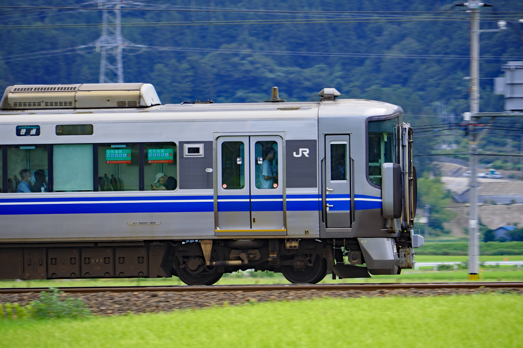 各駅停車敦賀行き