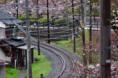 電車はまだかいな