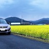 ピンクの愛車と黄色い菜の花