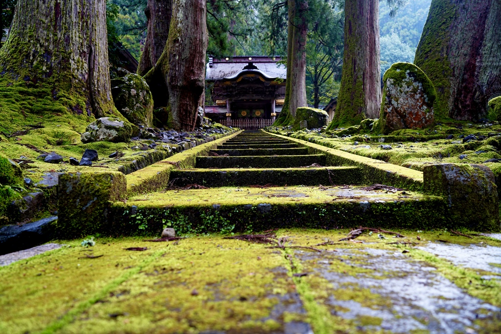 永平寺の朝