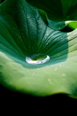 通り雨