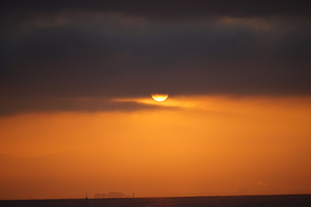 太陽