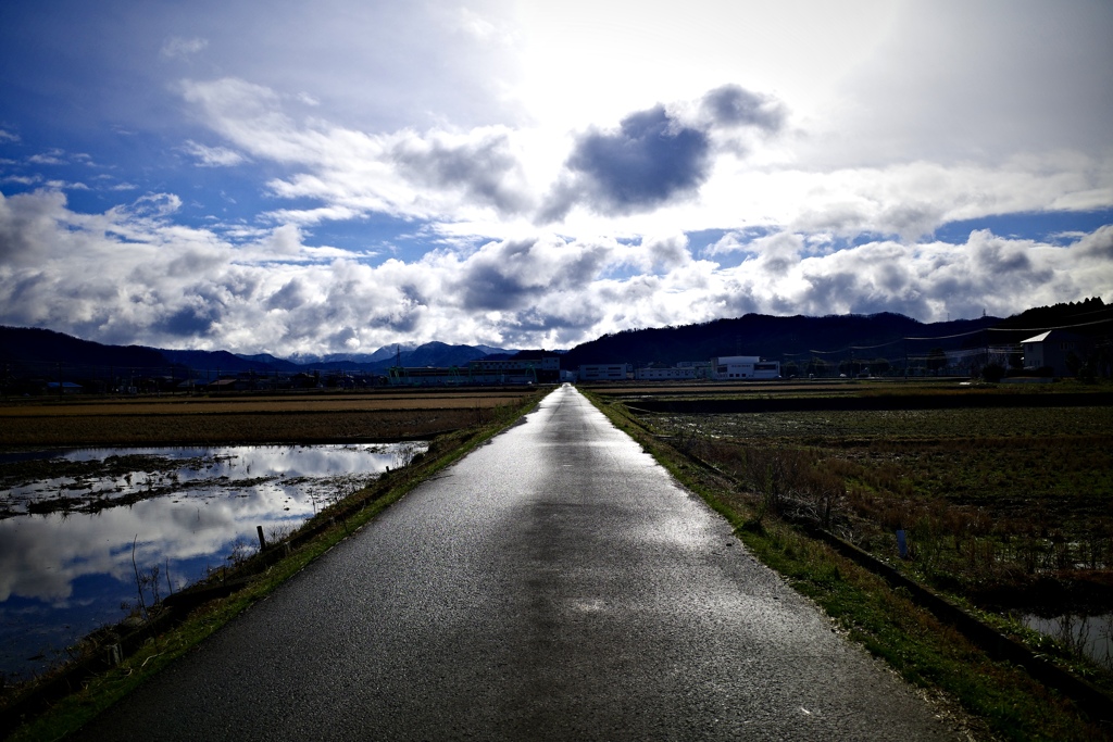 田舎の田んぼ道