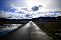 田舎の田んぼ道