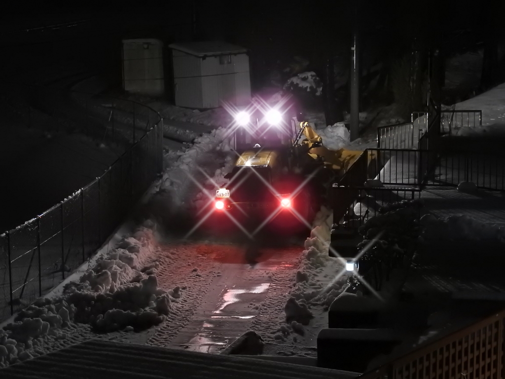 いきなりの積雪でした。