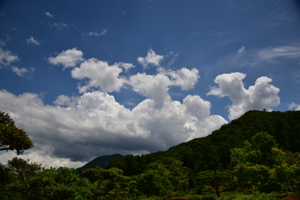 夏雲近し